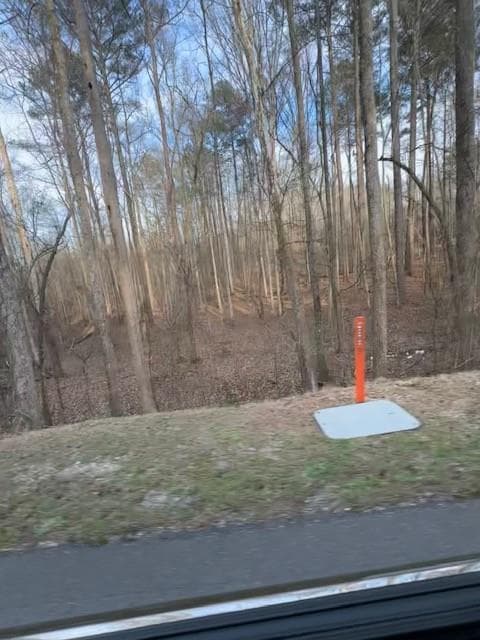 other for sale at 00 Cascade Palmetto Highway, Fairburn, GA 30213 — photo 5