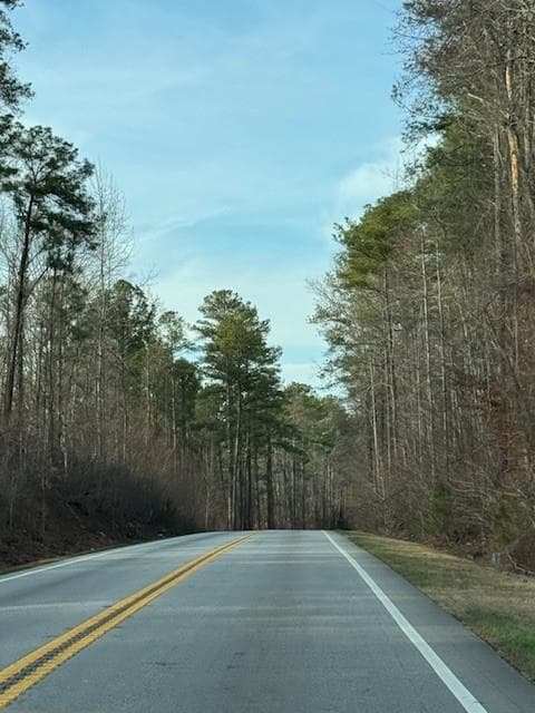 other for sale at 00 Cascade Palmetto Highway, Fairburn, GA 30213 — photo 6