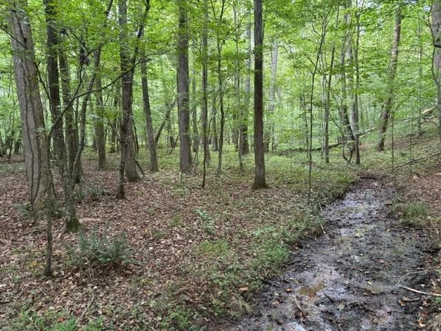 other for sale at 5741 Five Notch Trail, Douglasville, GA 30135 — photo 1 of 2