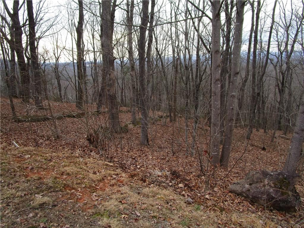 single family residence for sale at Lot 29 Long Mountain Trail, Cleveland, GA 30528 — photo 8