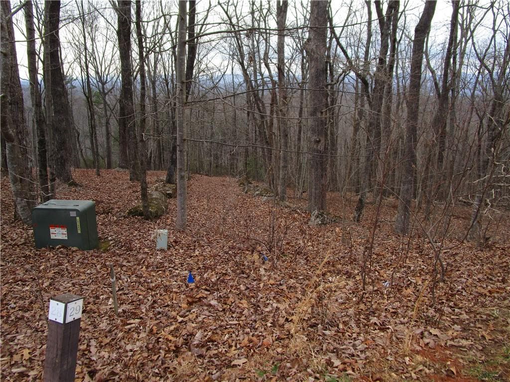single family residence for sale at Lot 29 Long Mountain Trail, Cleveland, GA 30528 — photo 6
