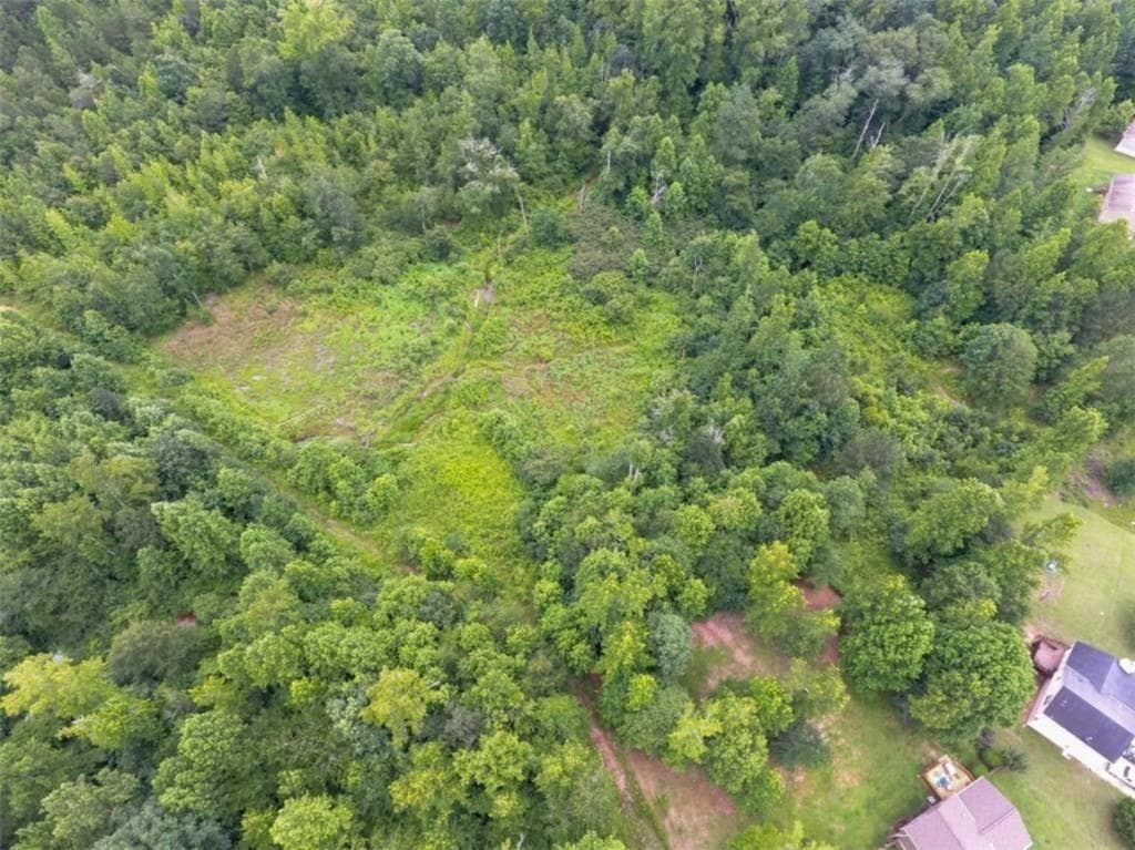 other for sale at 0 Bridle Creek, Dallas, GA 30157 — photo 2
