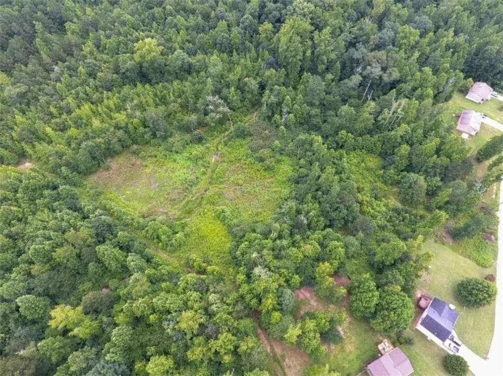 other for sale at 0 Bridle Creek, Dallas, GA 30157 — photo 3
