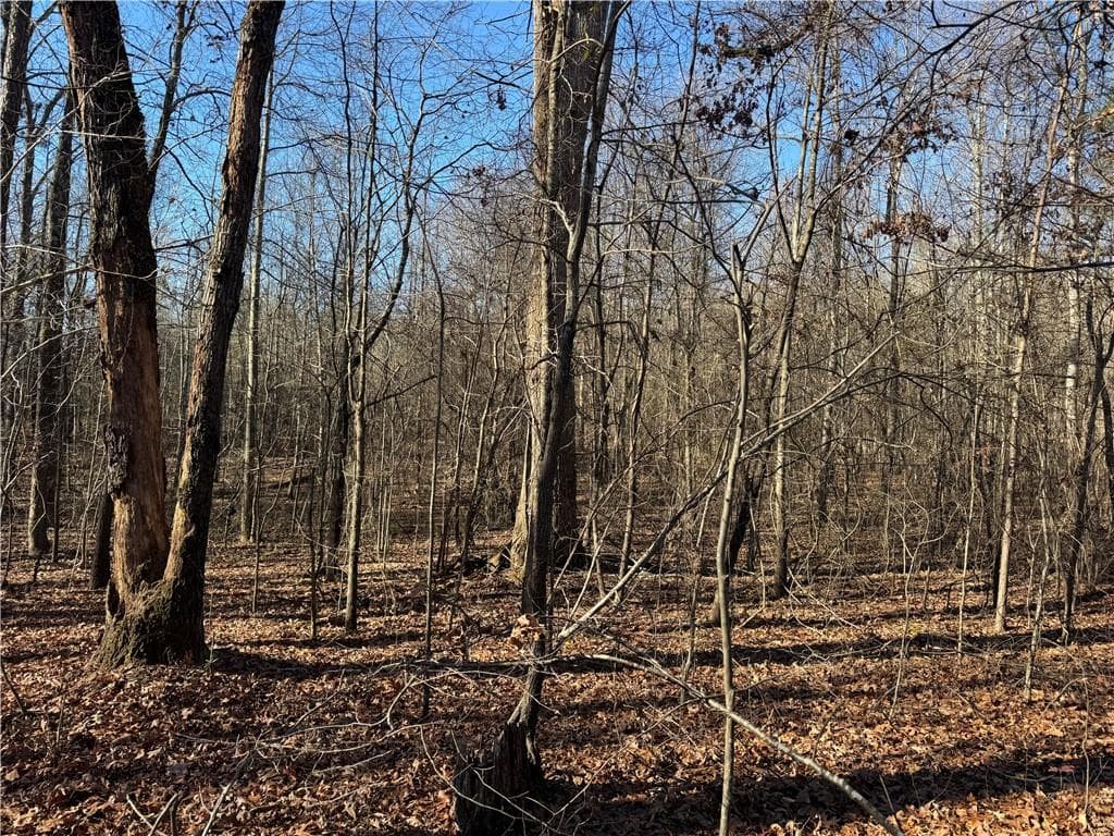 unimproved land for sale at 4611 MONROE Hwy - Hwy 78, Bogart, GA 30622 — photo 8