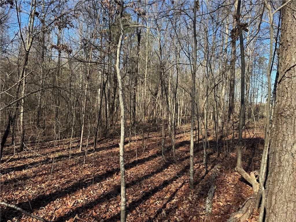 unimproved land for sale at 4611 MONROE Hwy - Hwy 78, Bogart, GA 30622 — photo 9