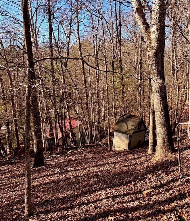 other for sale at 45 7th Street, Ellijay, GA 30540 — photo 2