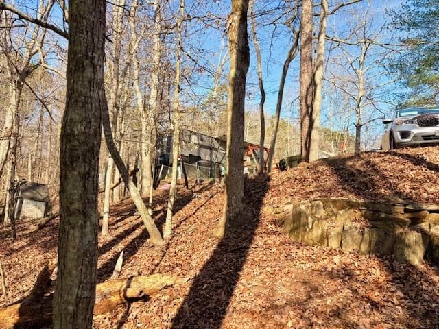 other for sale at 45 7th Street, Ellijay, GA 30540 — photo 4
