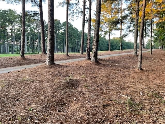 single family residence for sale at 32 Duval Court, Villa Rica, GA 30180 — photo 4
