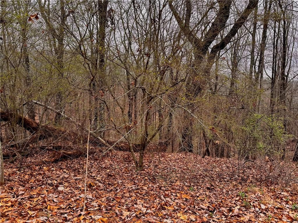 3 bedroom, 2 bathroom mobile home for sale at 2598 White Sulphur Road, Gainesville, GA 30501 — photo 5