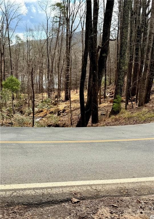 single family residence for sale at 431 Tamarack Drive, Jasper, GA 30143 — photo 2