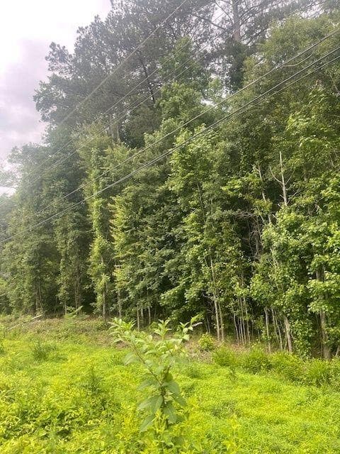single family residence for sale at 0 Butner Road, Atlanta, GA 30331 — photo 3