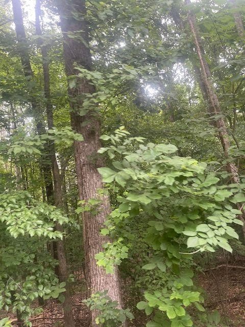 single family residence for sale at 0 Butner Road, Atlanta, GA 30331 — photo 4
