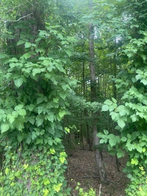 single family residence for sale at 0 Butner Road, Atlanta, GA 30331 — photo 5