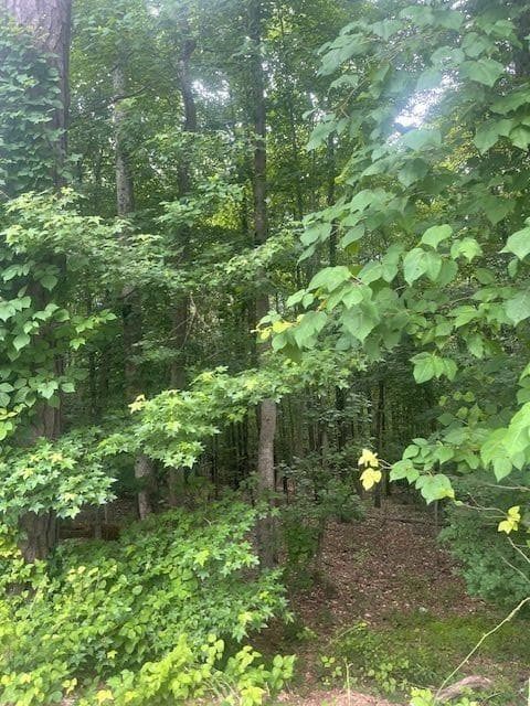 single family residence for sale at 0 Butner Road, Atlanta, GA 30331 — photo 6