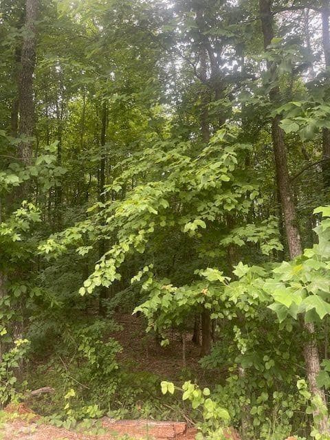 single family residence for sale at 0 Butner Road, Atlanta, GA 30331 — photo 7