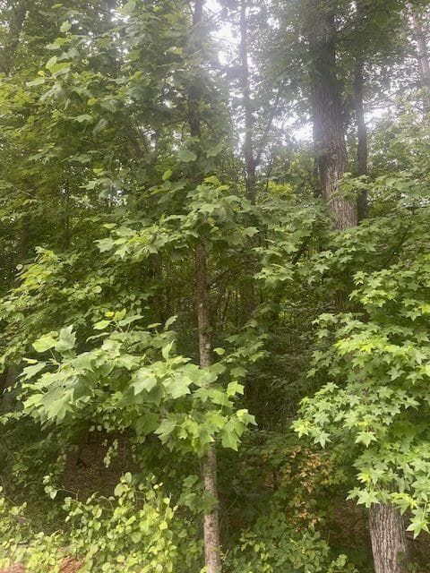 single family residence for sale at 0 Butner Road, Atlanta, GA 30331 — photo 8