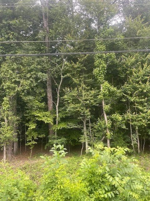 single family residence for sale at 0 Butner Road, Atlanta, GA 30331 — photo 9