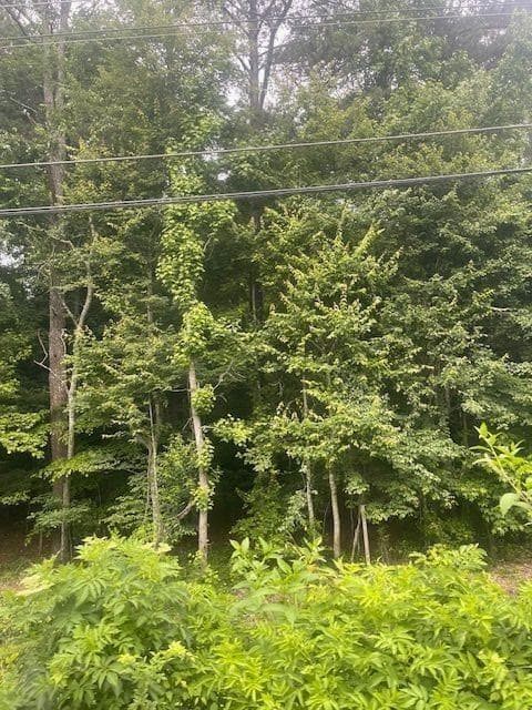 single family residence for sale at 0 Butner Road, Atlanta, GA 30331 — photo 10