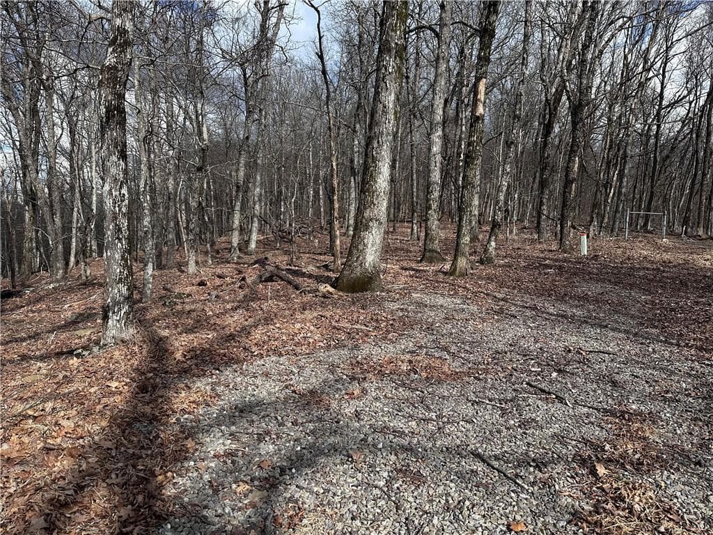 unimproved land for sale at Trct C Old A T Approach Trail, Jasper, GA 30143 — photo 2