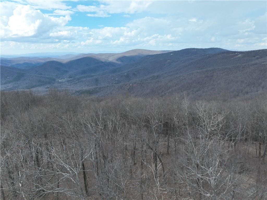 unimproved land for sale at Trct C Old A T Approach Trail, Jasper, GA 30143 — photo 8