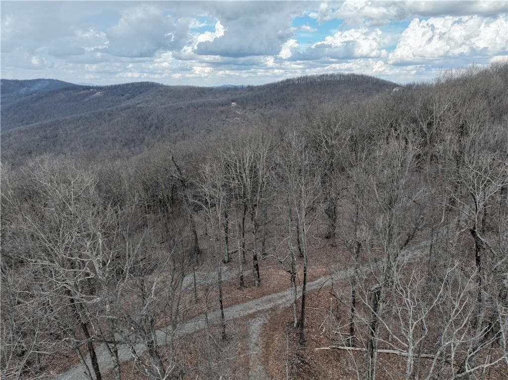 unimproved land for sale at Trct C Old A T Approach Trail, Jasper, GA 30143 — photo 9