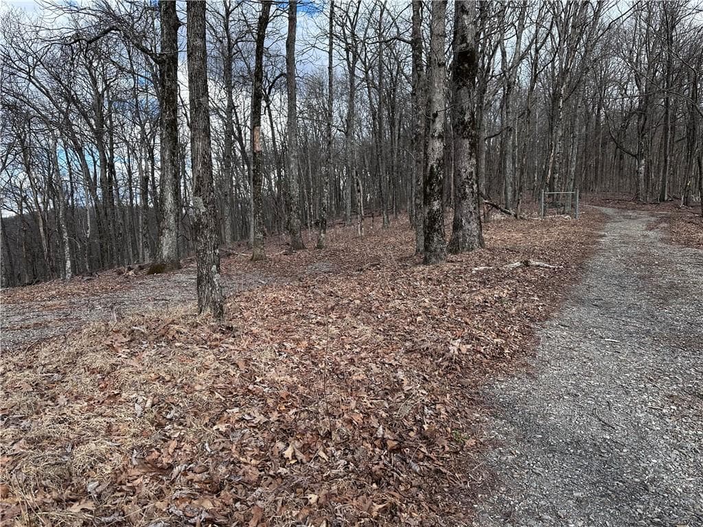 unimproved land for sale at Trct C Old A T Approach Trail, Jasper, GA 30143 — photo 10