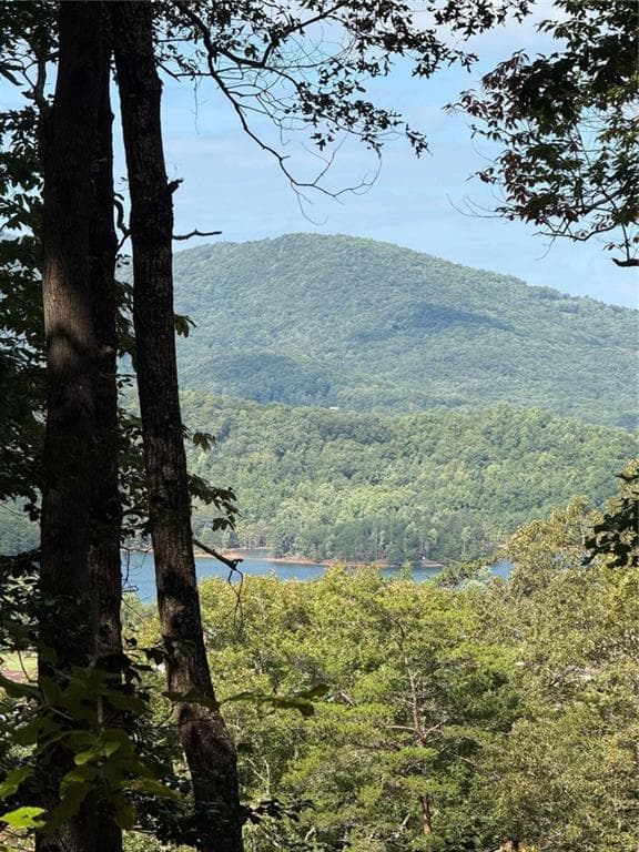 2 bedroom, 2 bathroom single family residence for sale at LOT 3 Whiskey Mountain Estates, Hiawassee, GA 30546 — photo 5