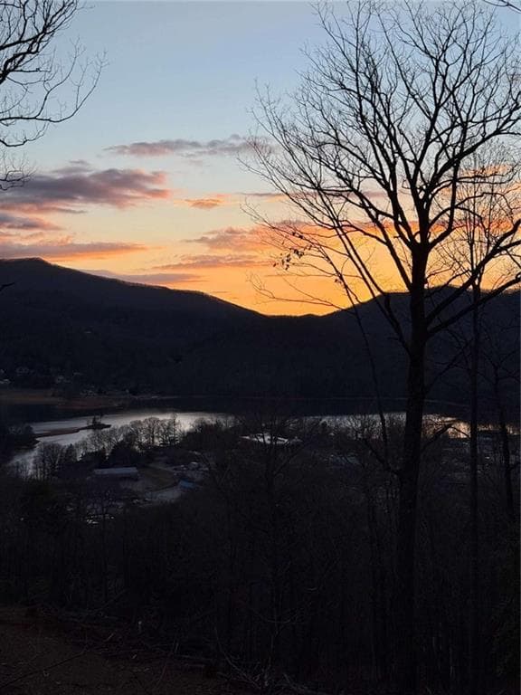 2 bedroom, 2 bathroom single family residence for sale at LOT 3 Whiskey Mountain Estates, Hiawassee, GA 30546 — photo 4