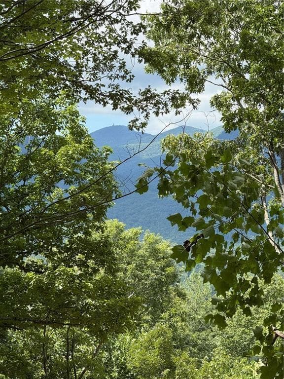 4 bedroom, 4 bathroom, 2,578 sq ft single family residence for sale at LOT 2 Whiskey Mountain Estates, Hiawassee, GA 30546 — photo 4