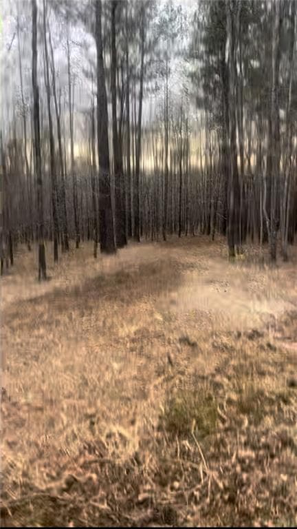 unimproved land for sale at 166 Lake Crest Drive, Sparta, GA 31087 — photo 1 of 11