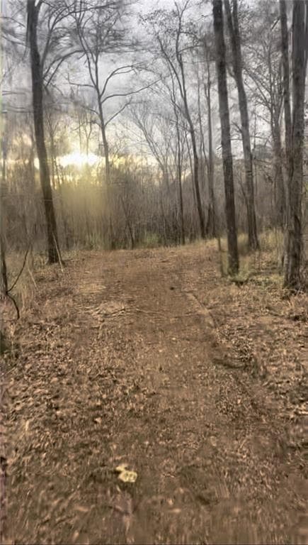 unimproved land for sale at 166 Lake Crest Drive, Sparta, GA 31087 — photo 2
