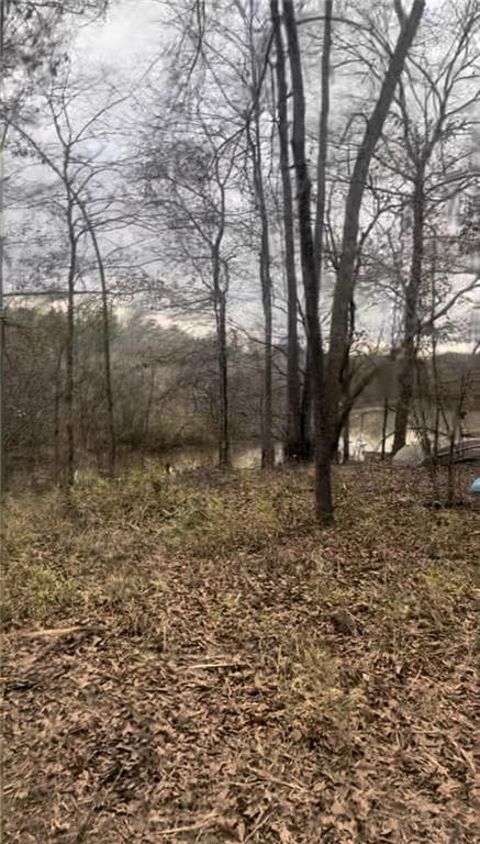 unimproved land for sale at 166 Lake Crest Drive, Sparta, GA 31087 — photo 3