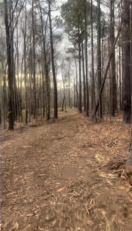 unimproved land for sale at 166 Lake Crest Drive, Sparta, GA 31087 — photo 4