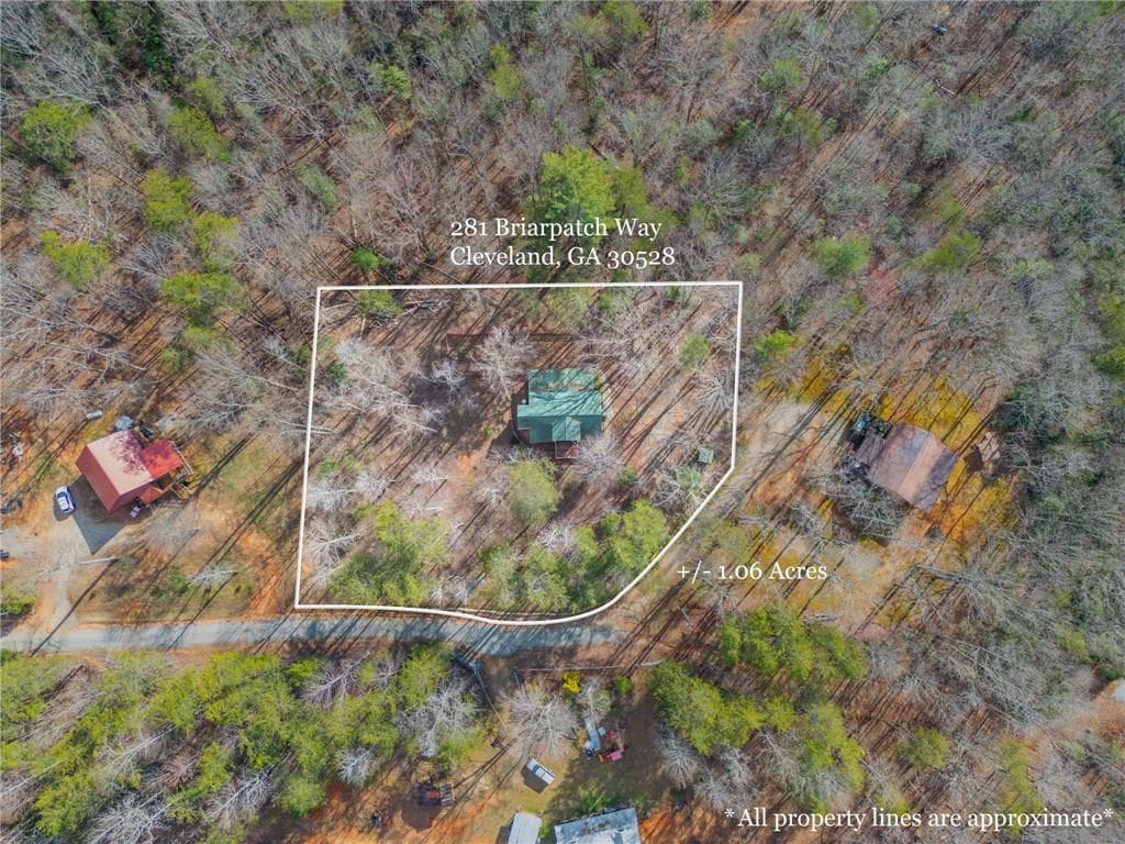 2 bedroom, 2 bathroom, 1,328 sq ft single family residence under contract at 281 Briarpatch Way, Cleveland, GA 30528 — photo 3