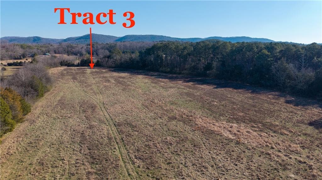 unimproved land for sale at 000 Liberty Church Road, Ranger, GA 30734 — photo 3