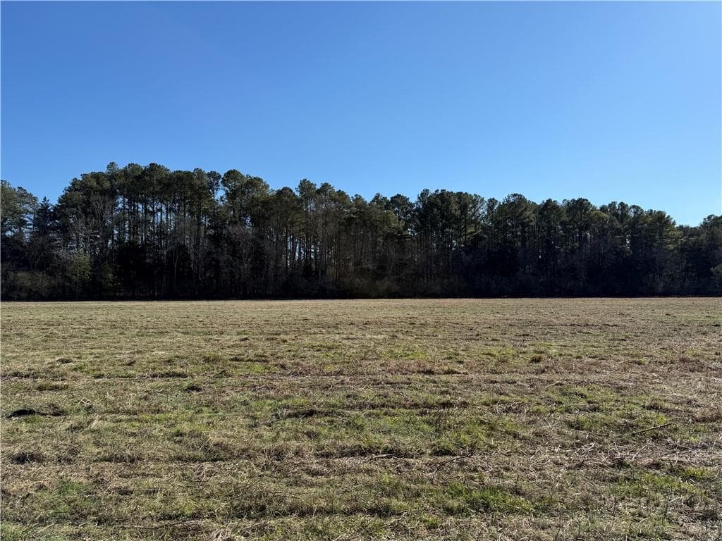 unimproved land for sale at 000 Liberty Church Road, Ranger, GA 30734 — photo 5