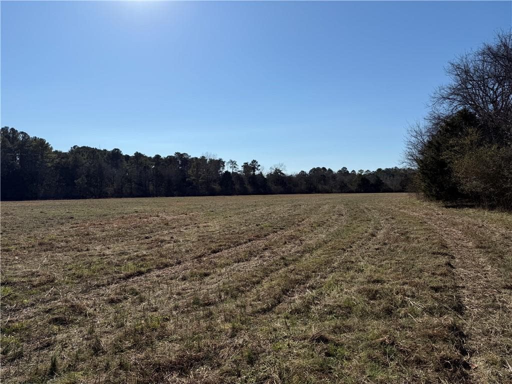 unimproved land for sale at 000 Liberty Church Road, Ranger, GA 30734 — photo 6
