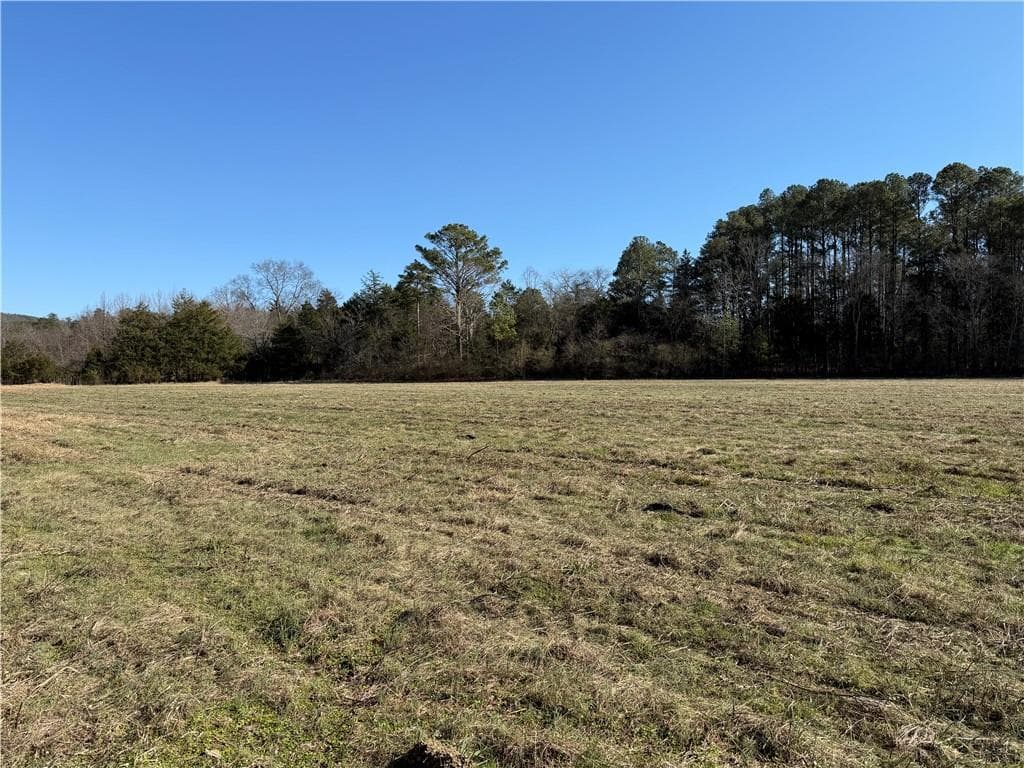 unimproved land for sale at 000 Liberty Church Road, Ranger, GA 30734 — photo 7