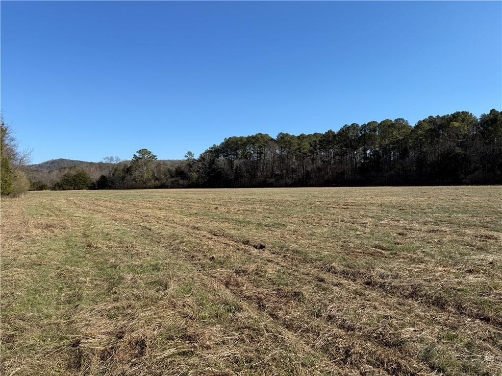 unimproved land for sale at 000 Liberty Church Road, Ranger, GA 30734 — photo 8