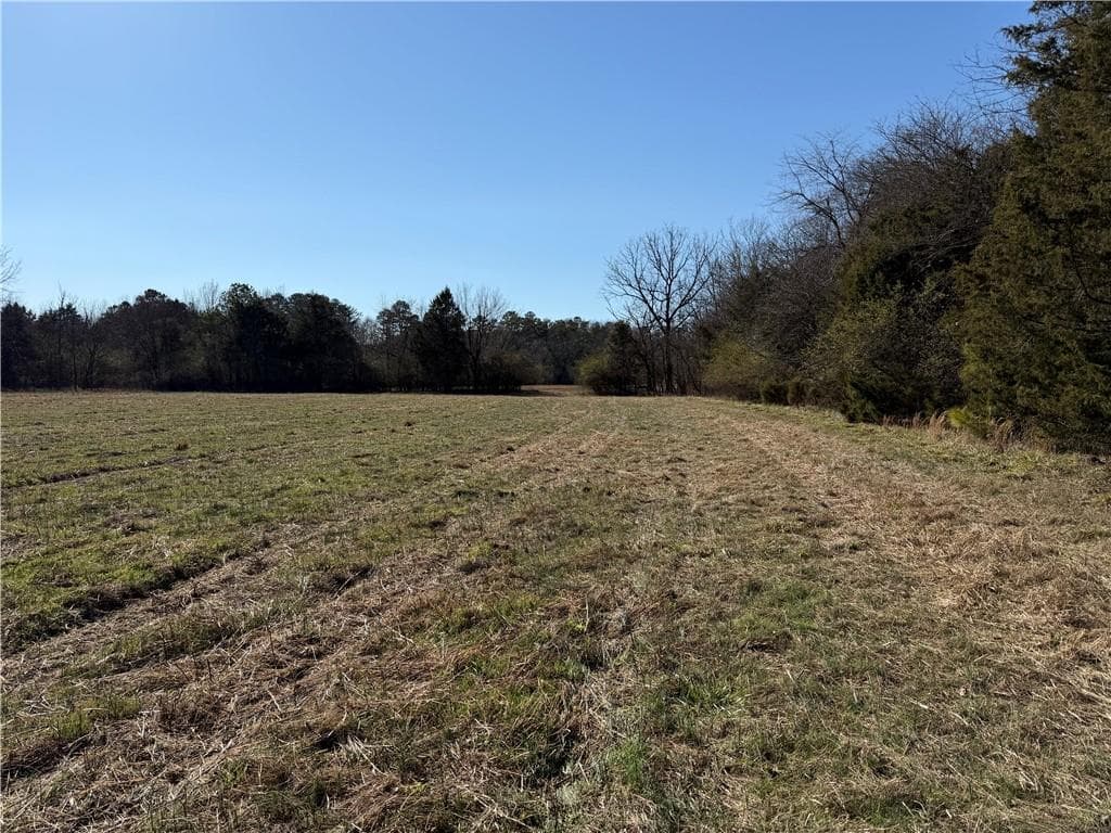 unimproved land for sale at 000 Liberty Church Road, Ranger, GA 30734 — photo 9