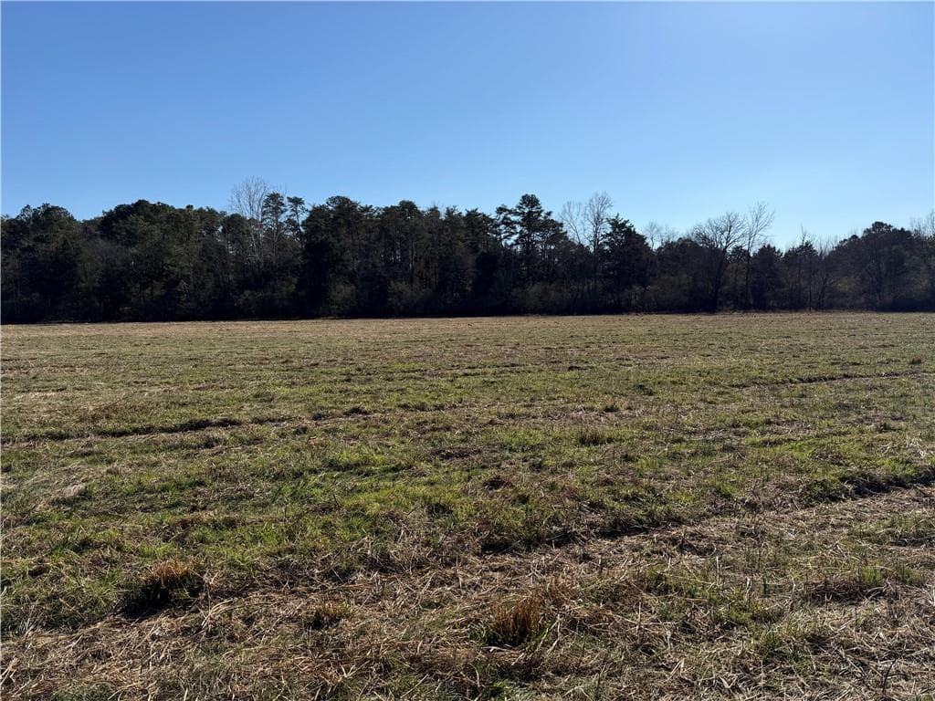 unimproved land for sale at 000 Liberty Church Road, Ranger, GA 30734 — photo 10