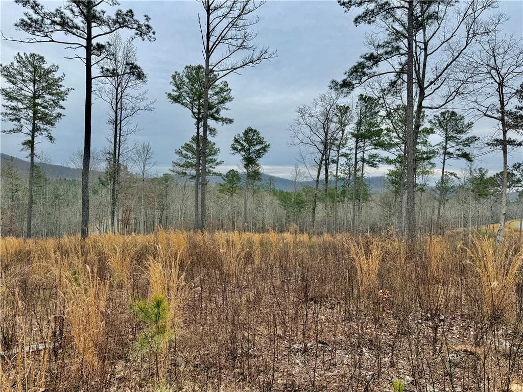 single family residence for sale at 347 Timbercreek Trail, Talking Rock, GA 30175 — photo 2