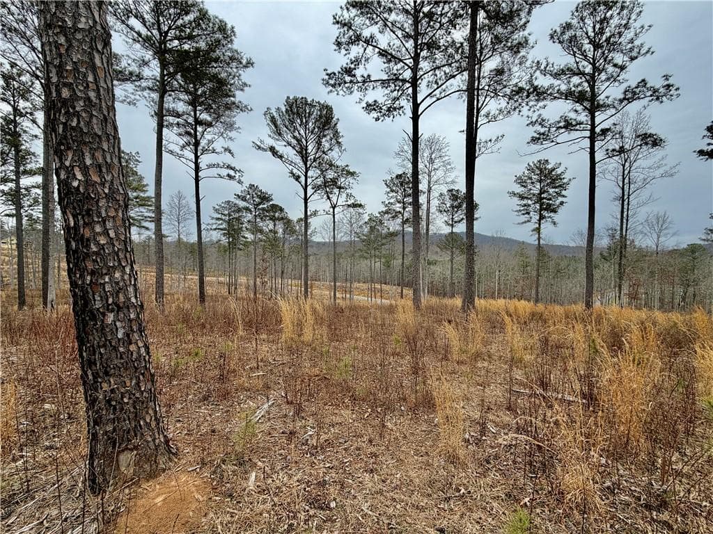 single family residence for sale at 347 Timbercreek Trail, Talking Rock, GA 30175 — photo 4