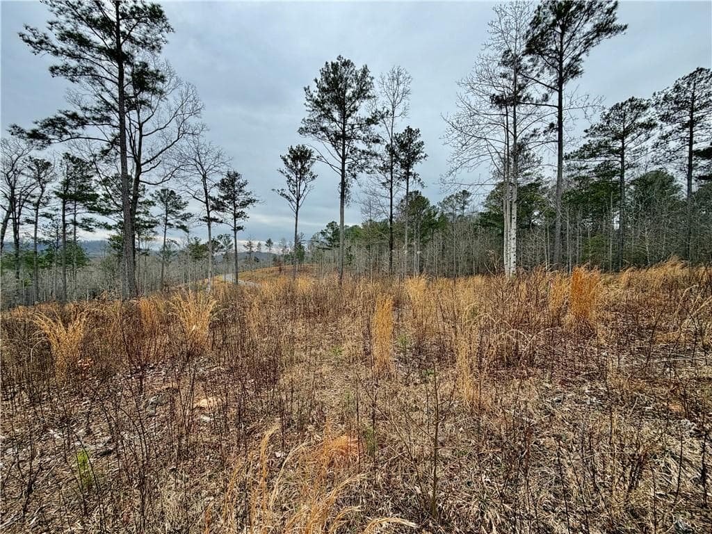 single family residence for sale at 347 Timbercreek Trail, Talking Rock, GA 30175 — photo 5
