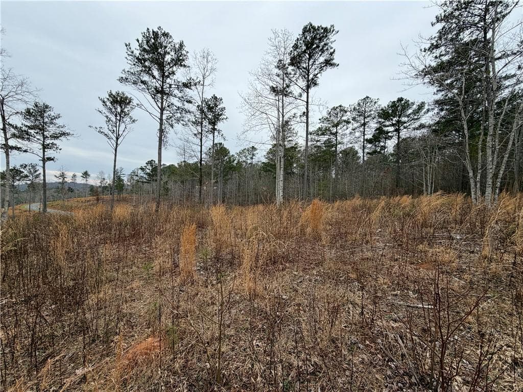 single family residence for sale at 347 Timbercreek Trail, Talking Rock, GA 30175 — photo 6