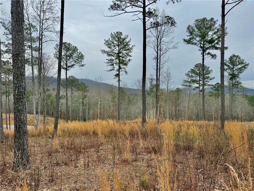 single family residence for sale at 347 Timbercreek Trail, Talking Rock, GA 30175 — photo 7
