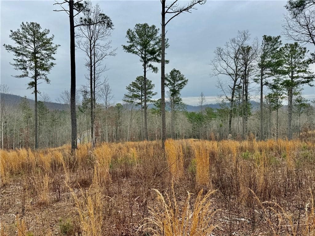 single family residence for sale at 347 Timbercreek Trail, Talking Rock, GA 30175 — photo 8