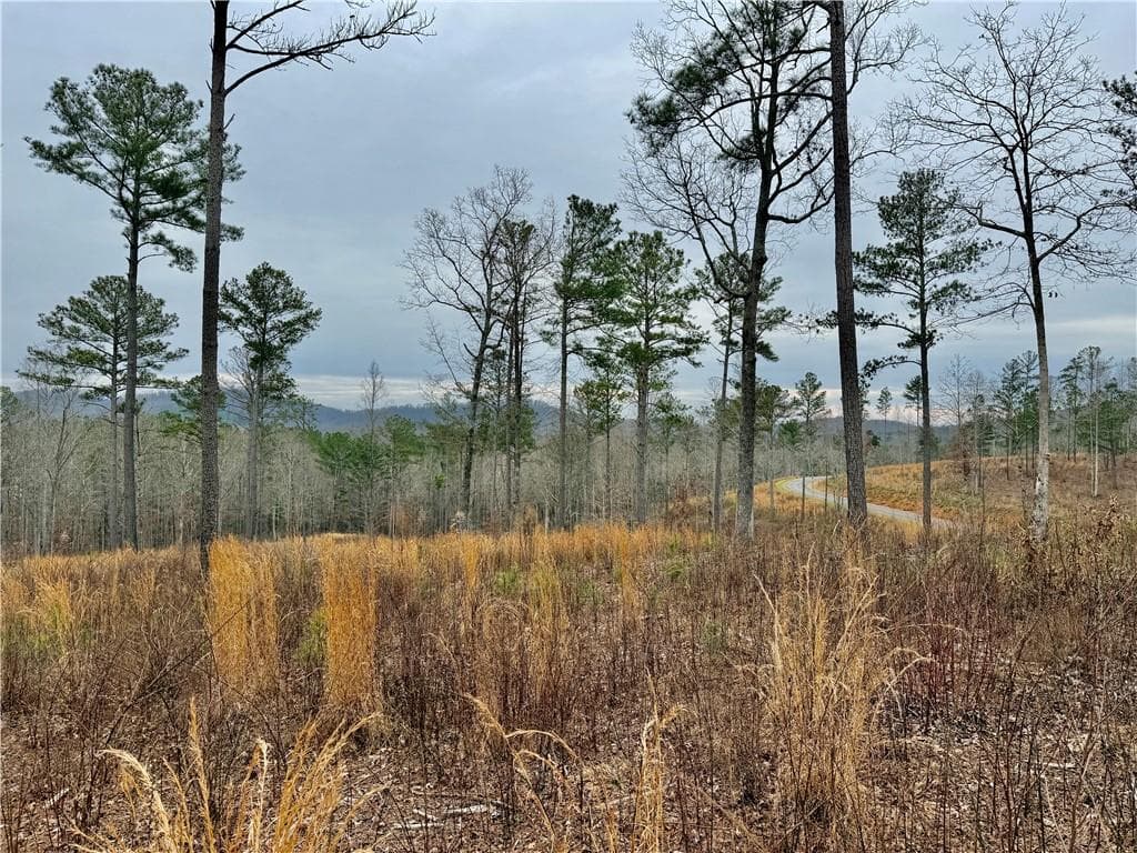 single family residence for sale at 347 Timbercreek Trail, Talking Rock, GA 30175