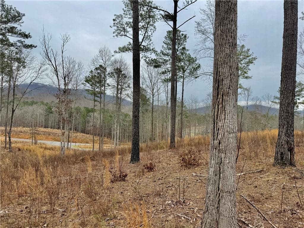 single family residence for sale at 347 Timbercreek Trail, Talking Rock, GA 30175 — photo 3