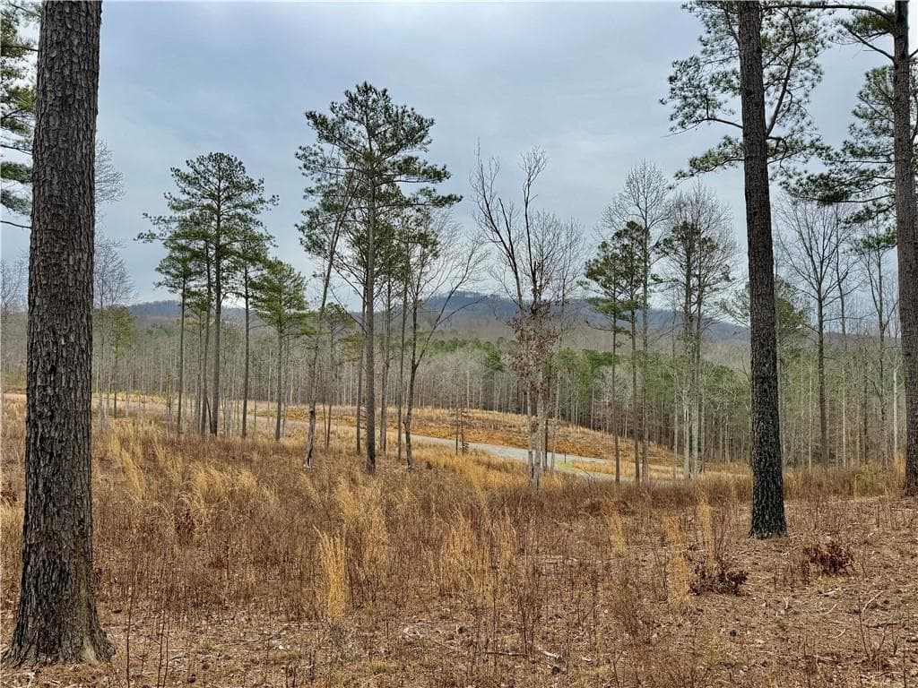 single family residence for sale at 347 Timbercreek Trail, Talking Rock, GA 30175 — photo 9